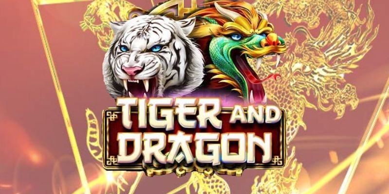 Dragon tiger sky88