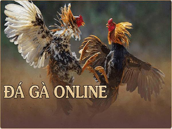 Đá gà online là gì?